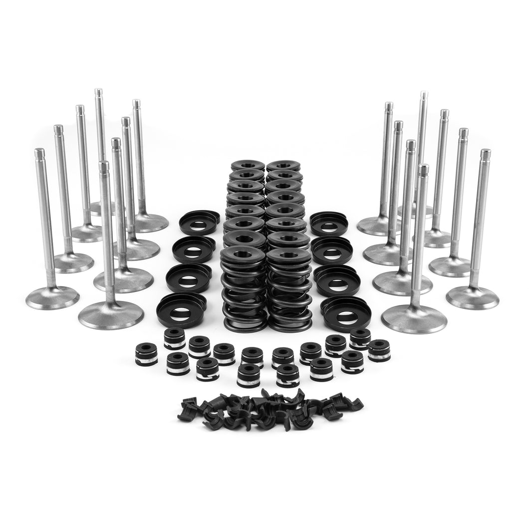 Chevy BBC 454 Head Build Kit - Hydraulic Roller Tappet